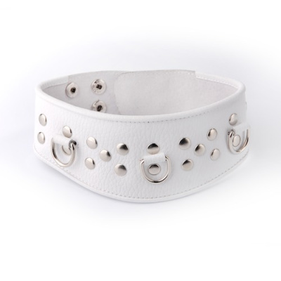 ОШЕЙНИК кожа (3115-3)